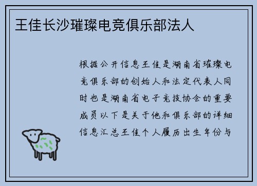 王佳长沙璀璨电竞俱乐部法人